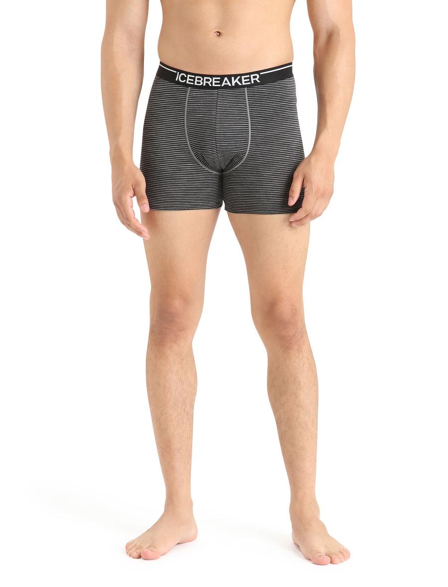 Sous Vêtement Icebreaker Merino Anatomica Boxers Homme Grise | FR 1314WNBY